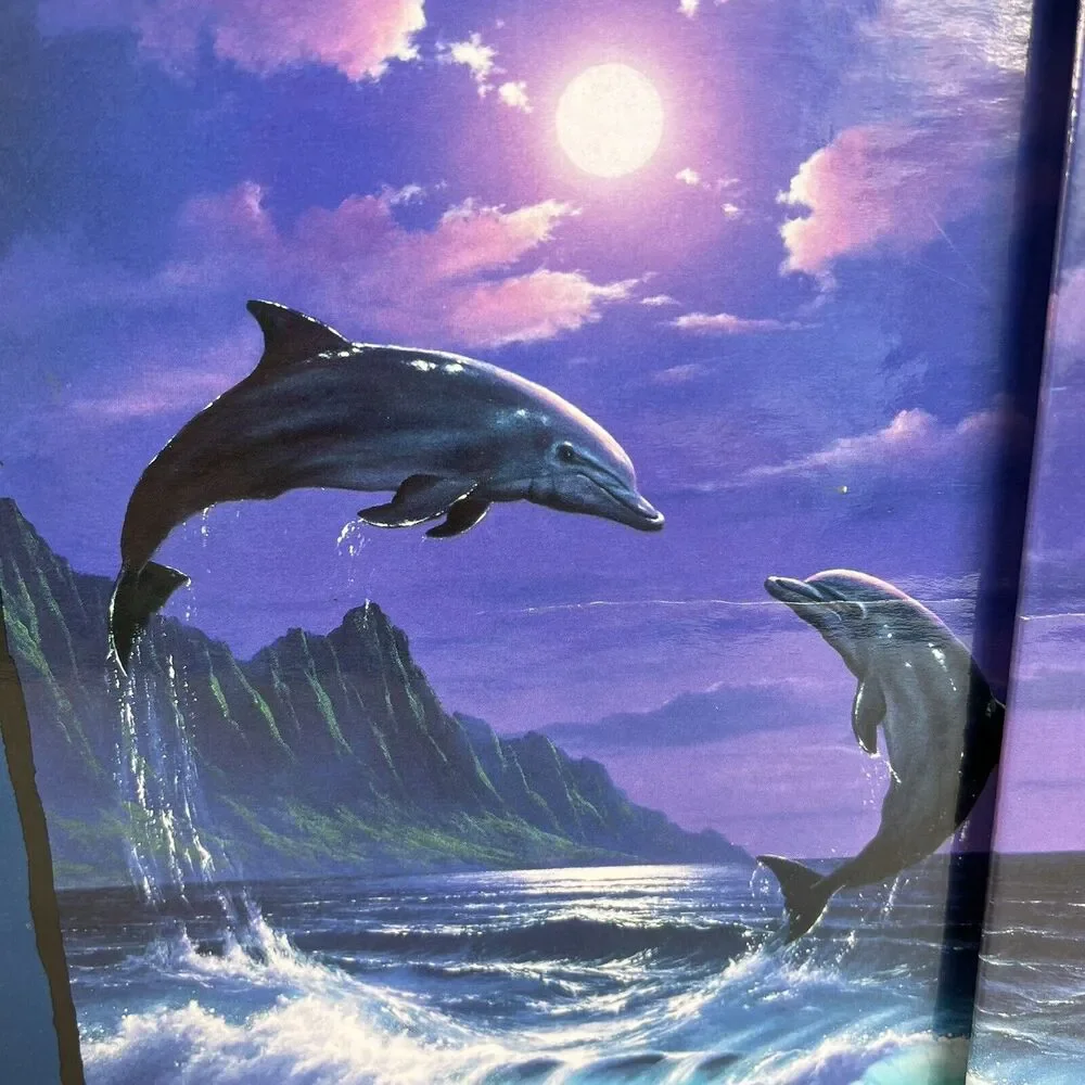 Vintage‎ Dolphins Stuart Hall 3 Ring Binder Notebook 1996 Super RARE OOAK